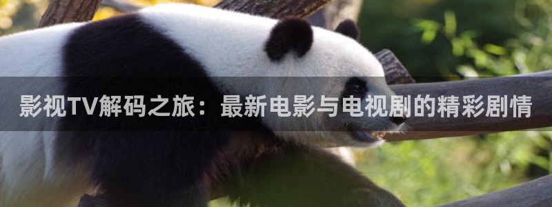 羞羞影院午夜爽爽：影视TV解码之旅：最新电影与电视剧的精彩剧情