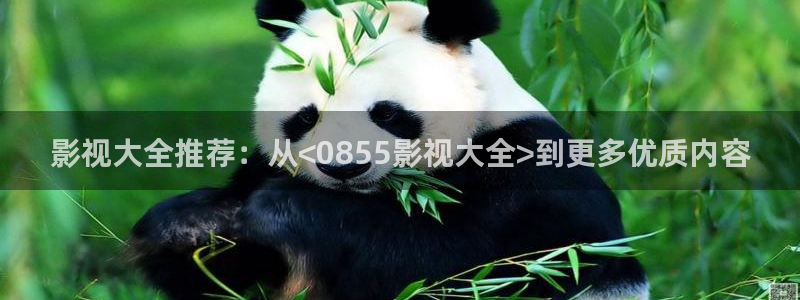 羞羞影院午夜：影视大全推荐：从<0855影视大全>到更多优质内容