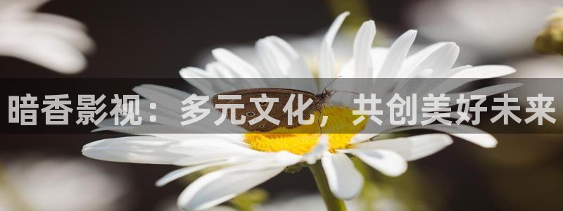 羞羞影院免费在线观看：暗香影视：多元文化，共创美好未来
