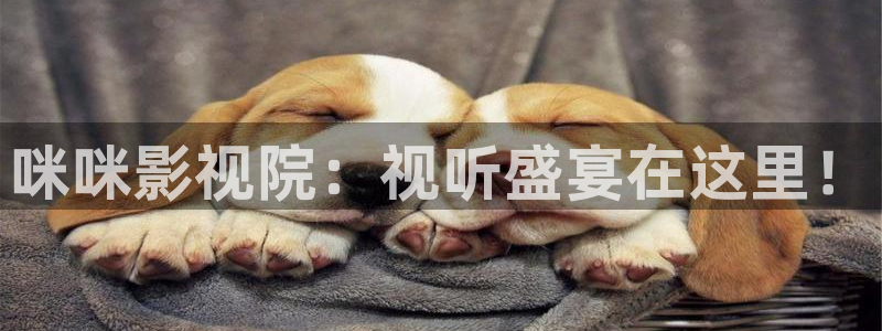 羞羞影视网：咪咪影视院：视听盛宴在这里！
