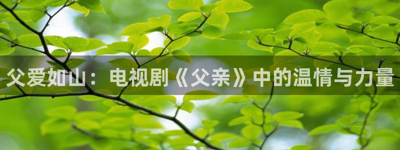 羞羞影院在线免费观看：父爱如山：电视剧《父亲》中的温情与力量