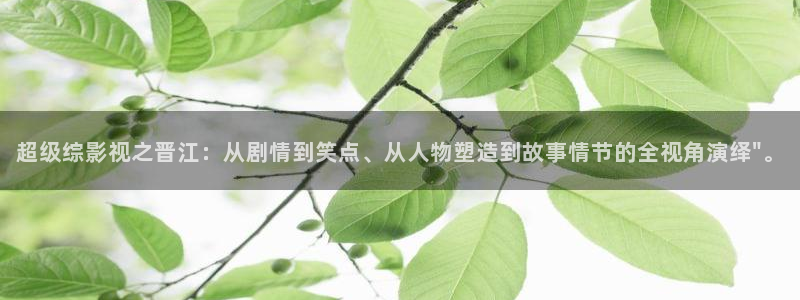 羞羞影院首页在线观看：超级综影视之晋江：从剧情到笑点、从人物塑造到故事情节的全视角演绎\